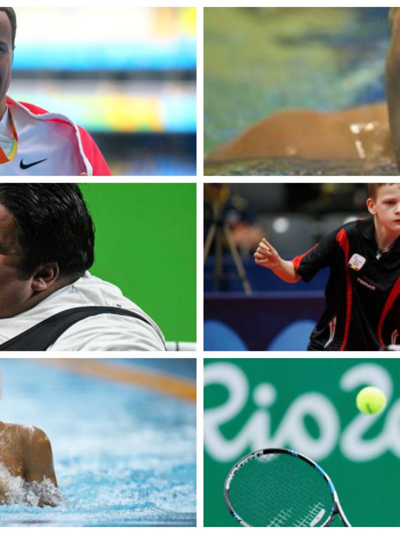 Collage of six sport photos