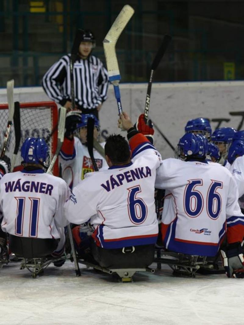The Czech Republic ice sledge hockey team