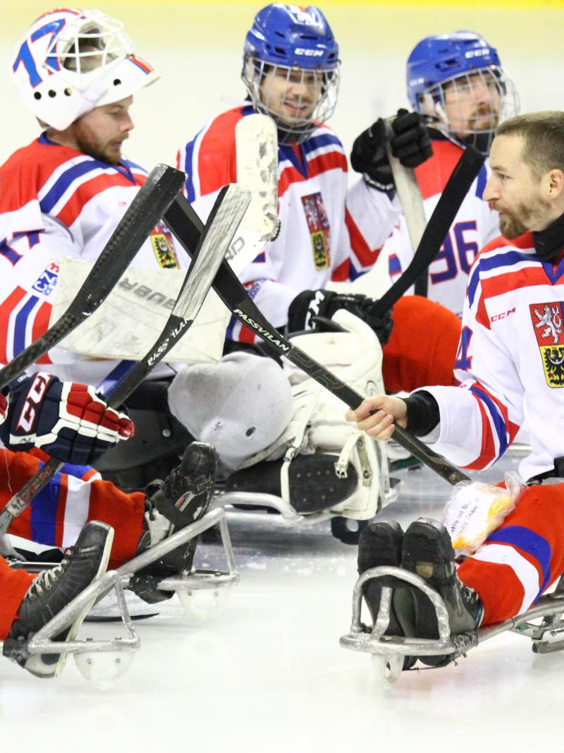 Sledge hockey players on the ice