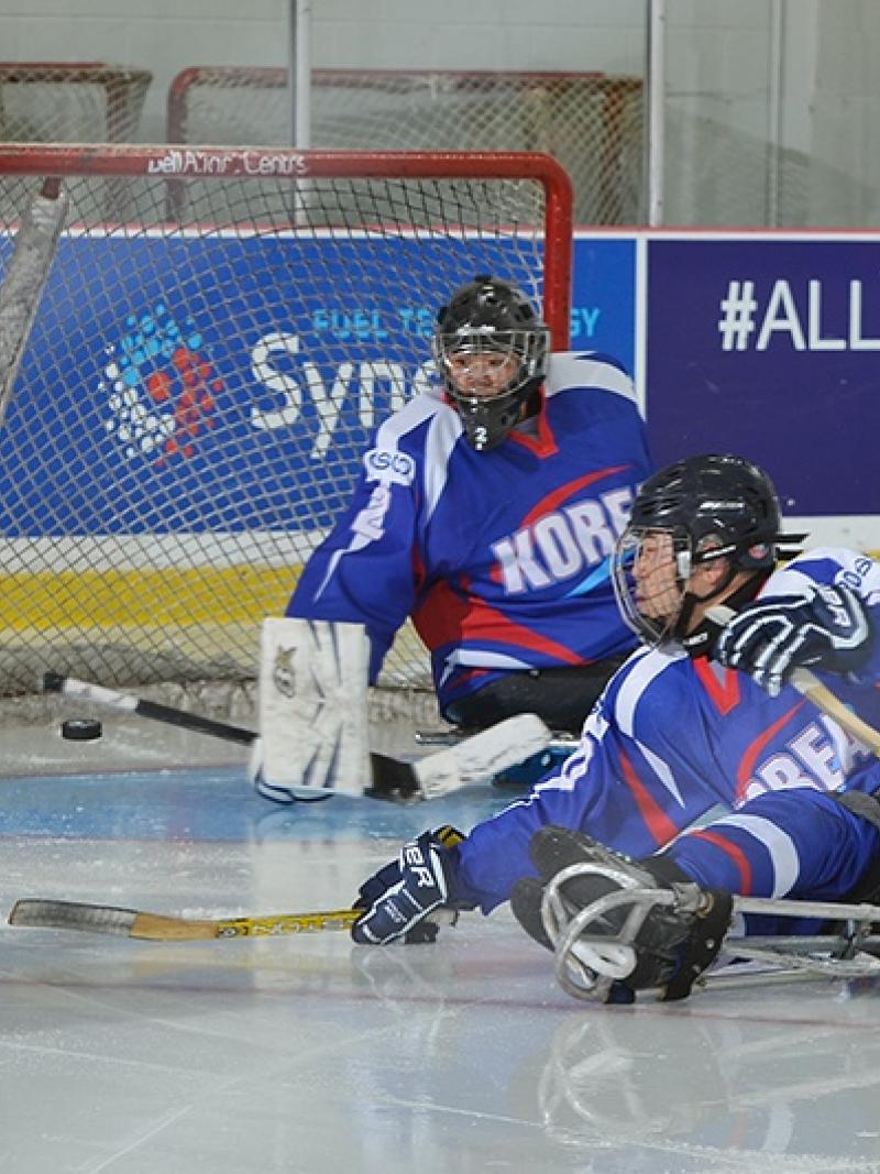 2016 World Sledge Hockey Challenge is taking place in Charlottetown, Canada, between 4-10 December, with the hosts, the USA, South Korea and Norway competing.