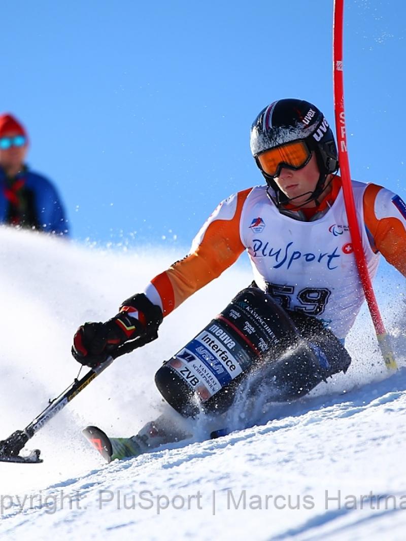 Male alpine sit skier races down a mountain