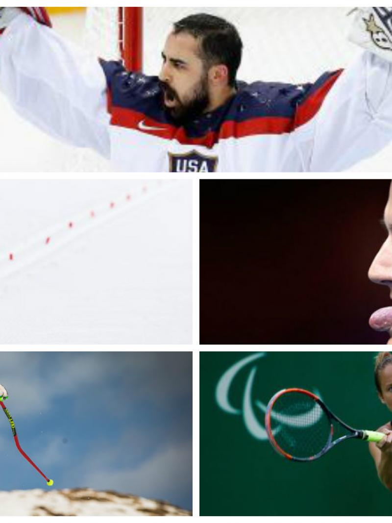 Collage of five sports images