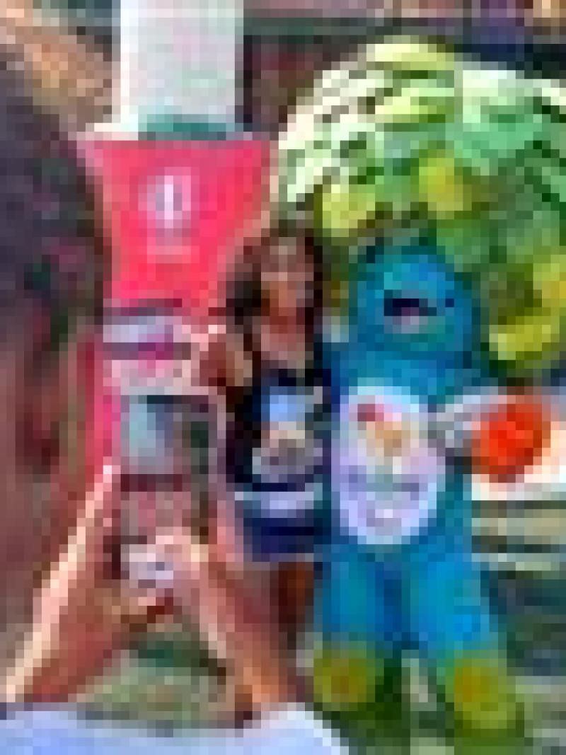 Rio 2016 Paralympic Games mascot Tom