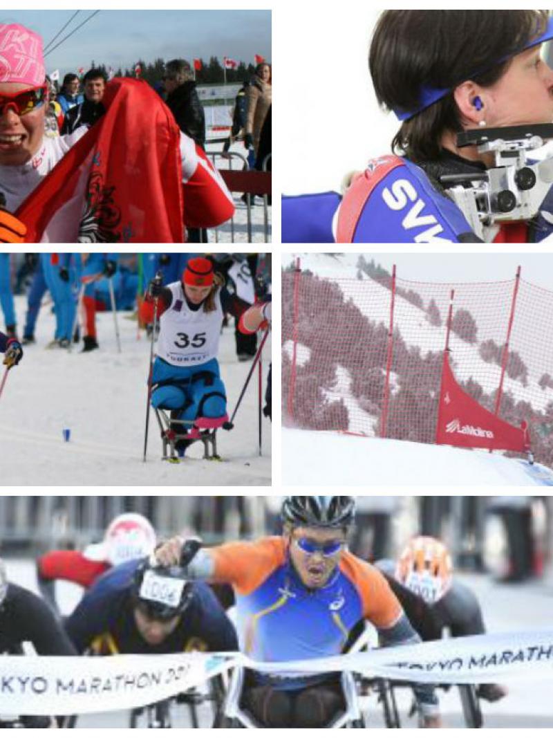 Collage with five sports pictures