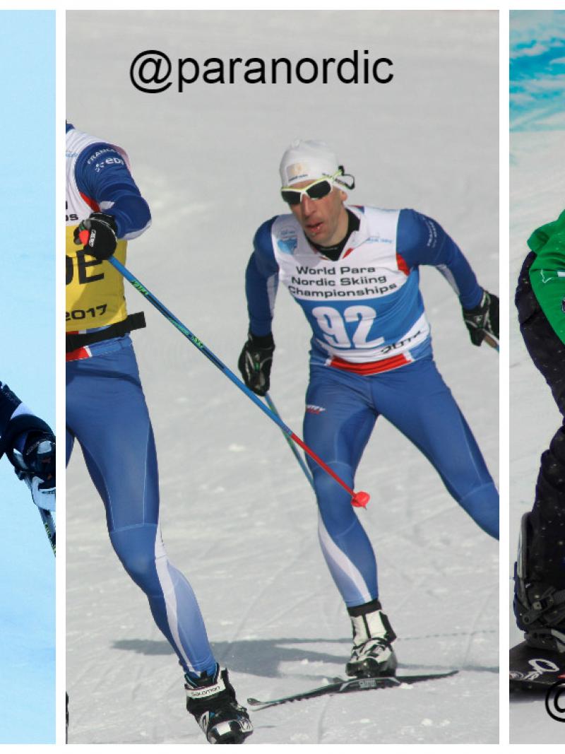 Alpine skiing, snowboard, nordic skiing - collage