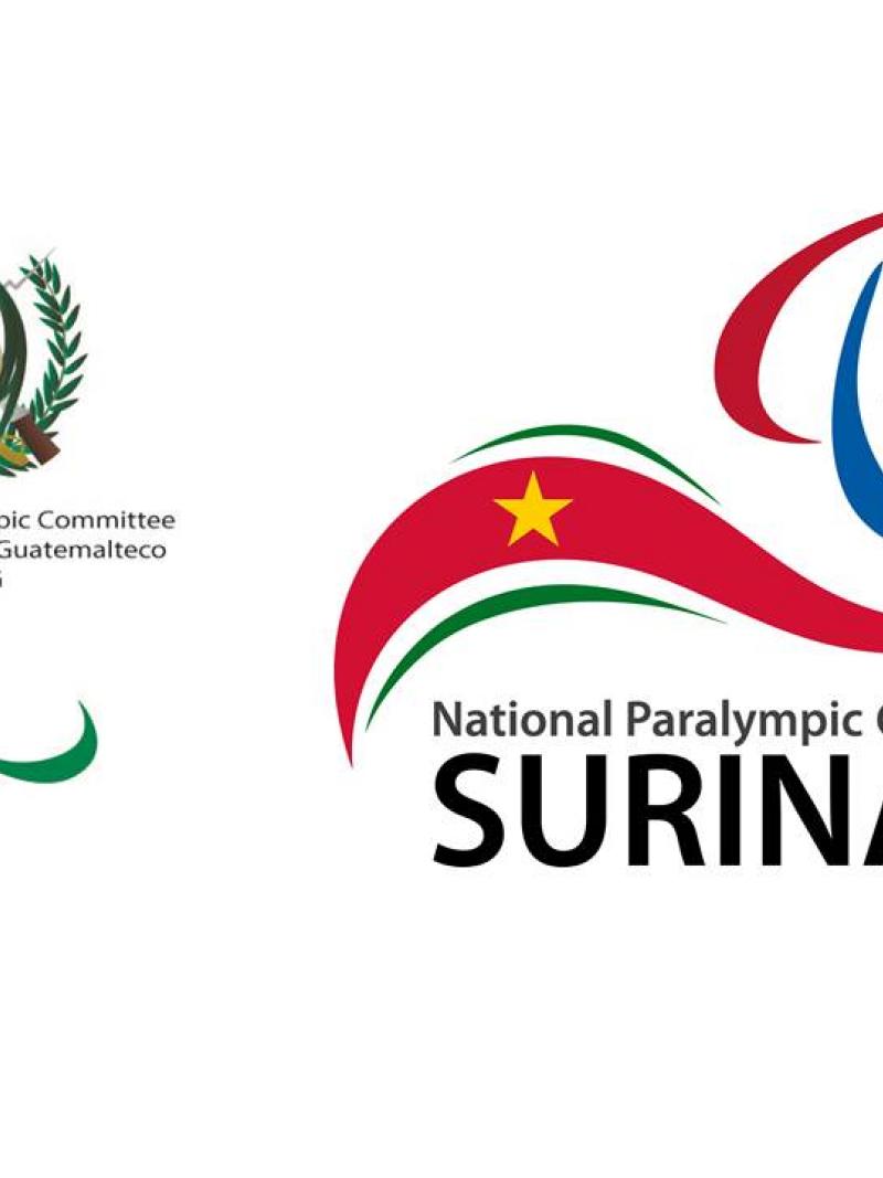 Sao Paulo 2017 - Guatemala Surinam logos