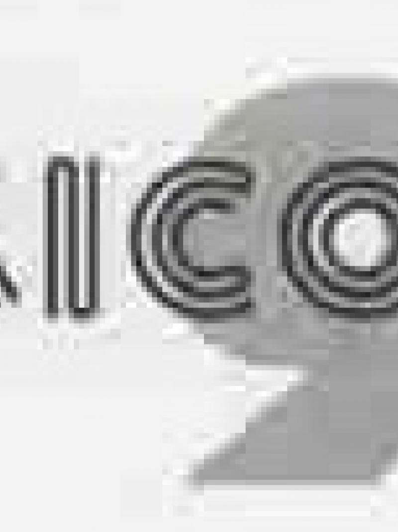 Mexico 1999 Parapan American Games - Logo