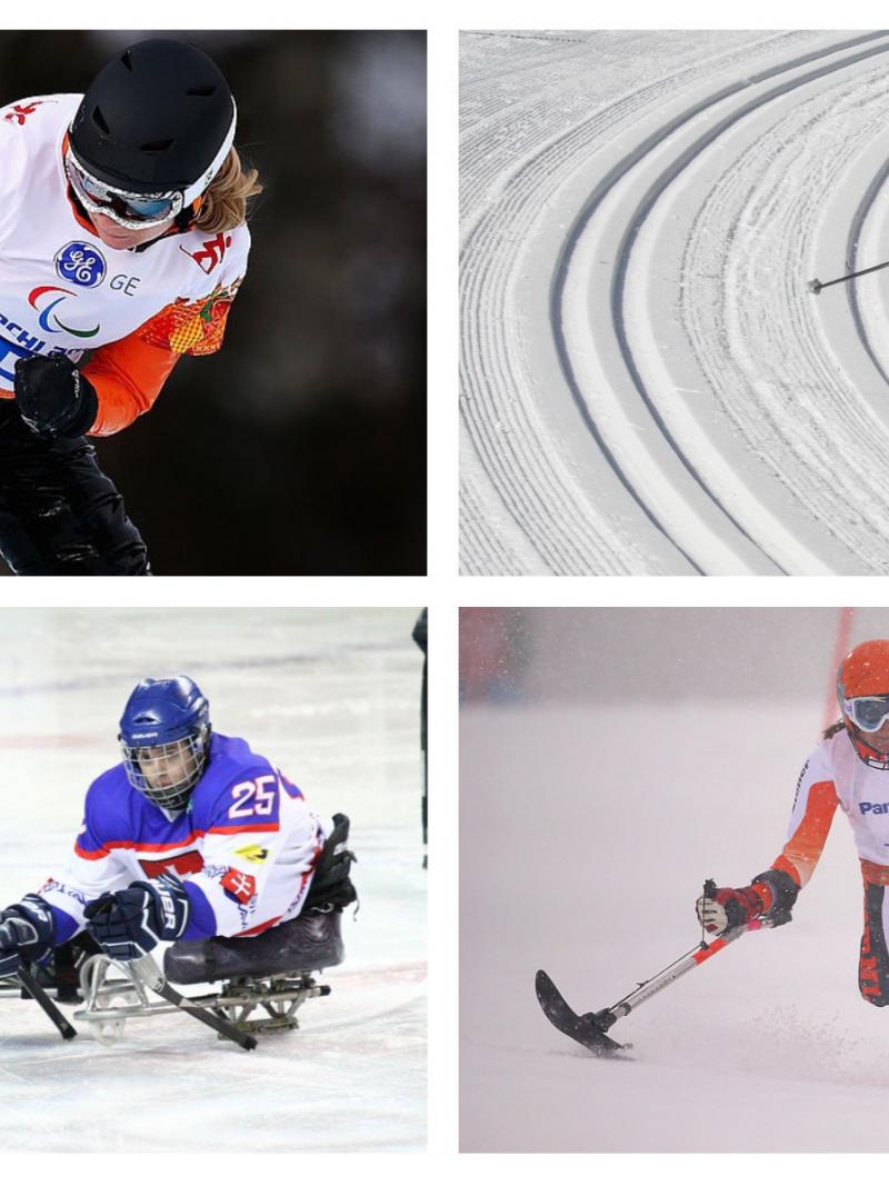 four winter para athletes compete