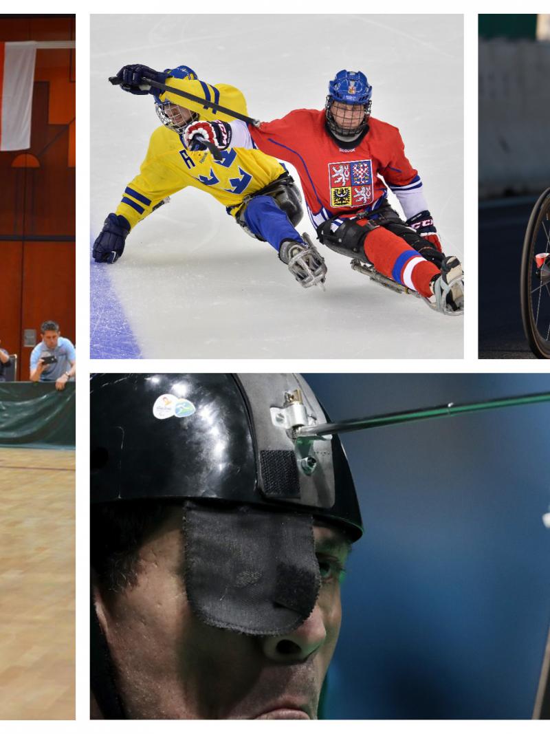 Para dance sport couple, wheelchair athlete, boccia player and Para ice hockey players compete at their sport