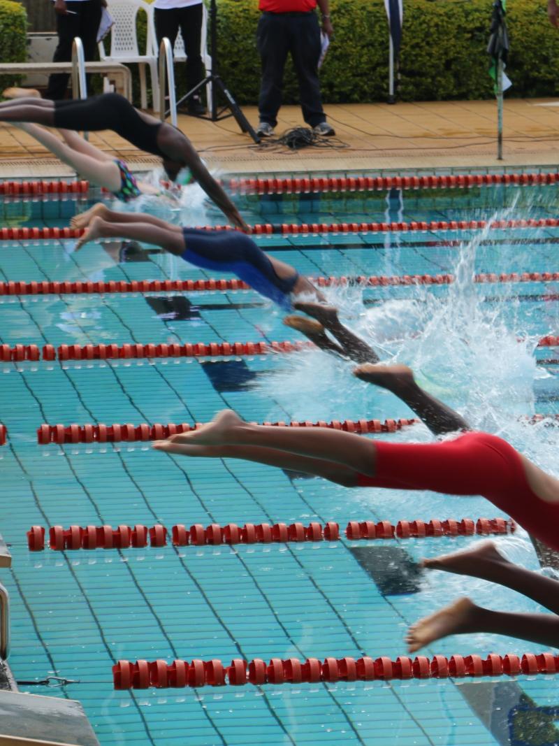 a group of Para swimmers dive into a pool