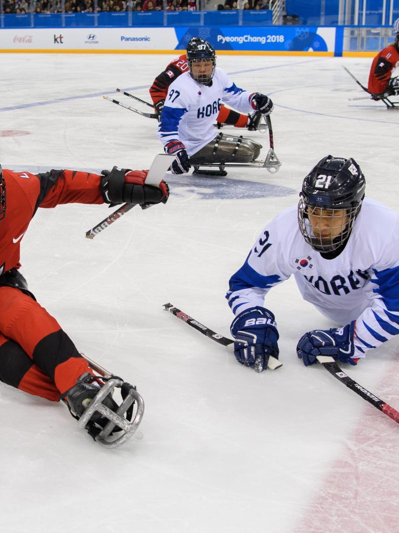 Two athletes playing Para ice hockey