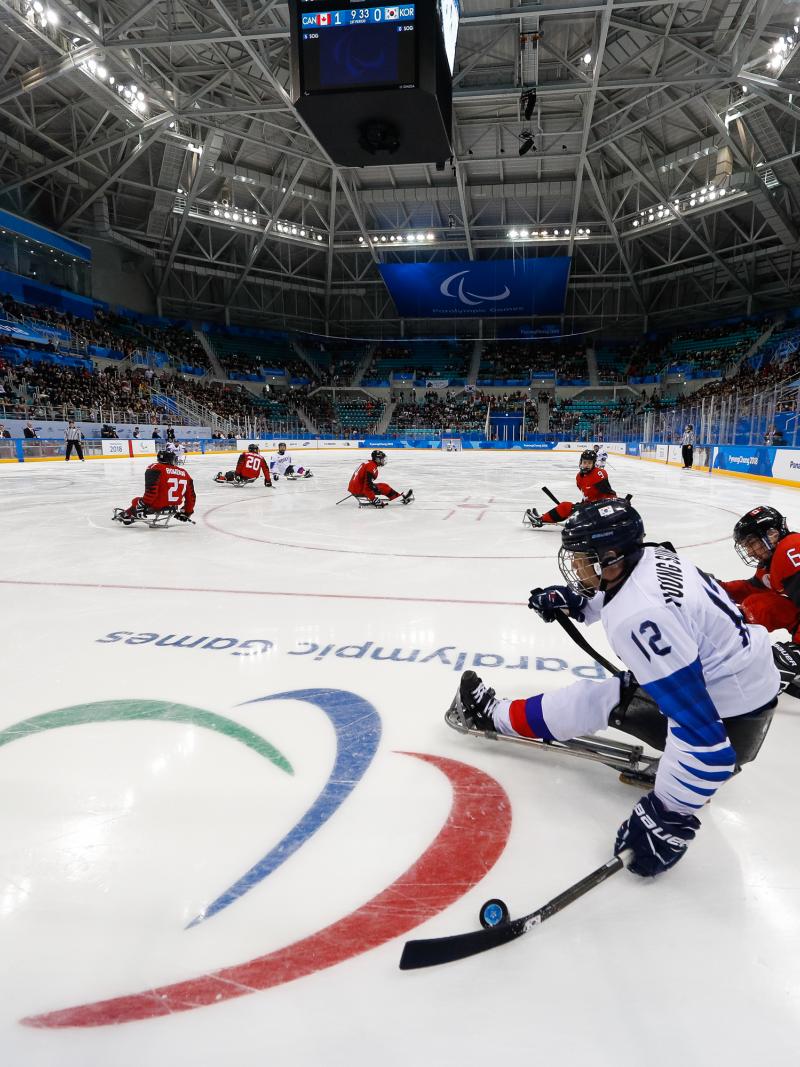 Athletes playing Para ice hockey