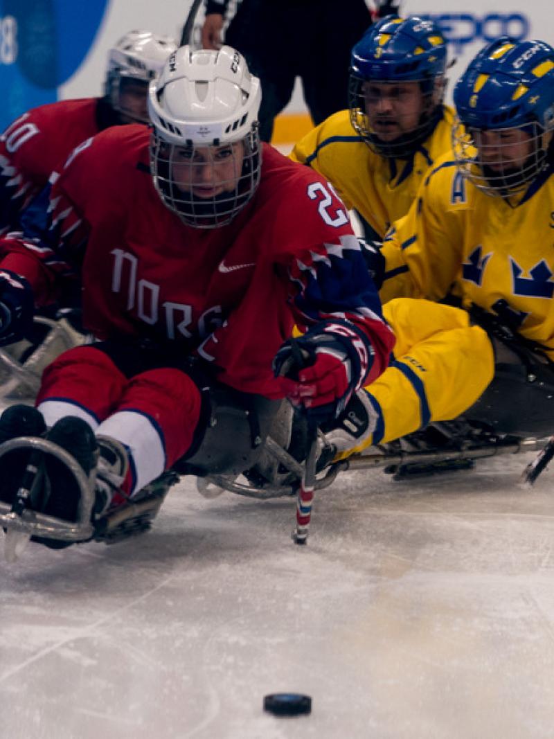 Para ice hockey players in action