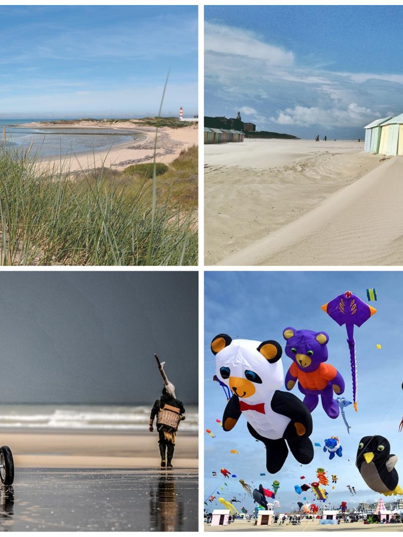 a beach, beach huts and inflatable animals flying as kites