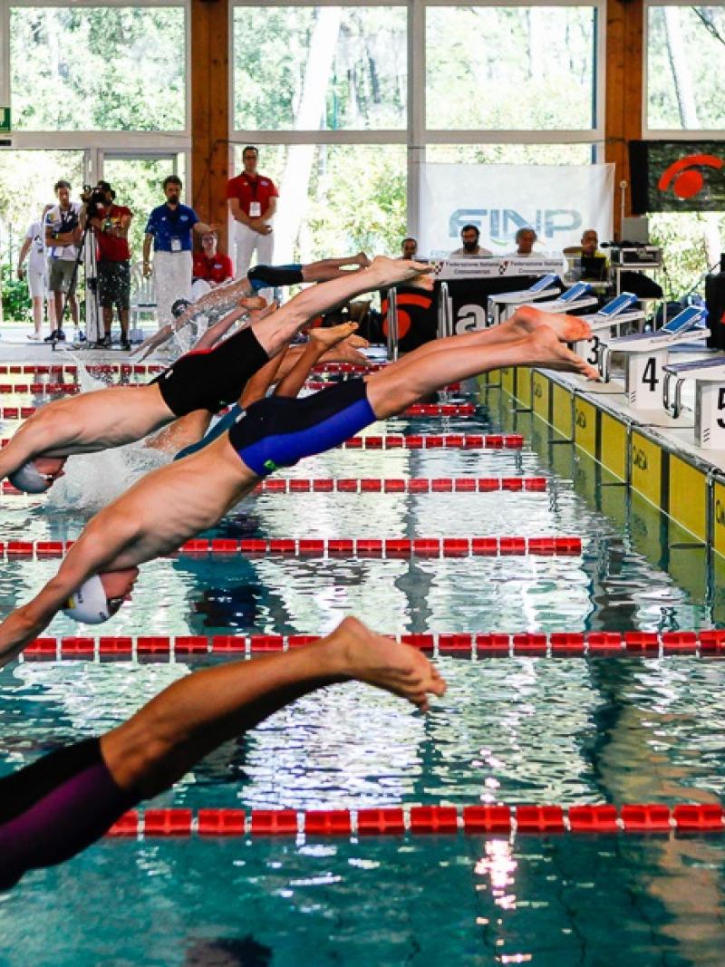 a group of Para swimmers dive into the pool at the start of the race