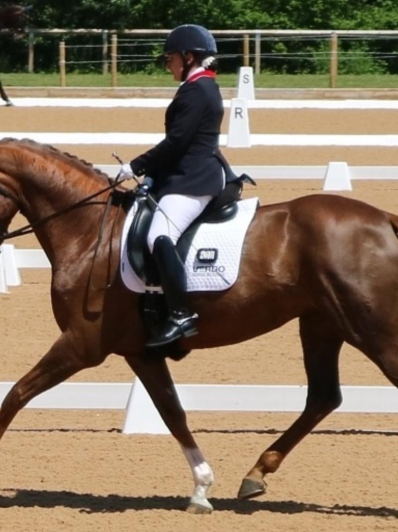 a female Para equestrian rider on a horse