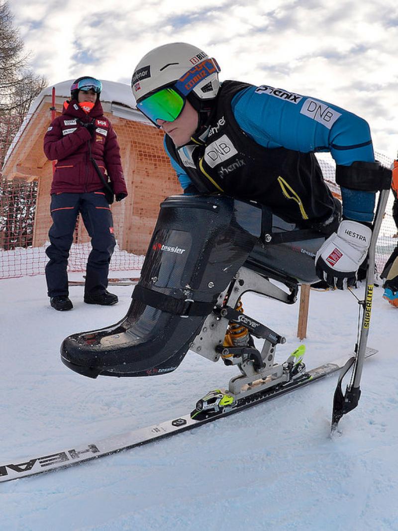 Sit skier