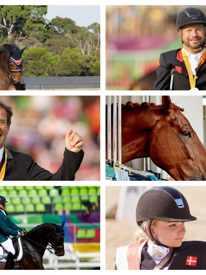 six Para equestrian riders in competition