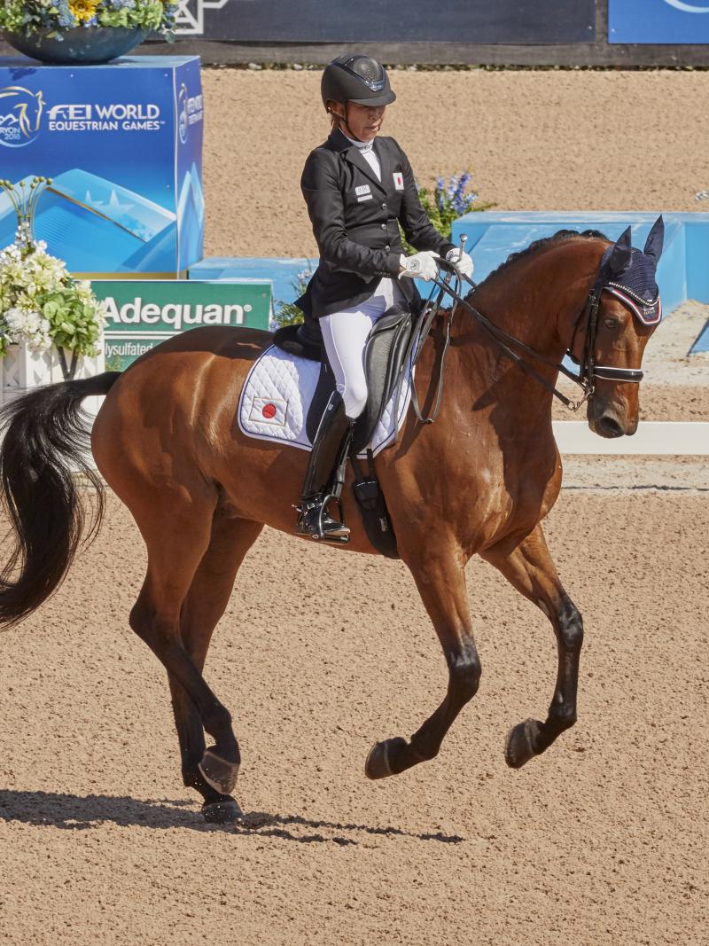 Japanese woman rides a horse as it dances around arena