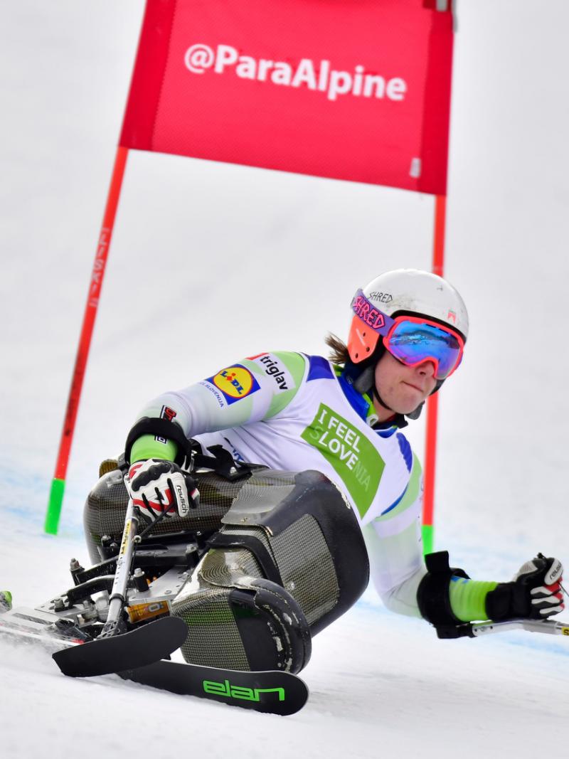 male Para alpine sit skier Jernej Slivnik goes round a gate on the slope