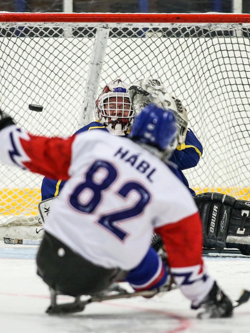 A Para ice hockey in front of the goal