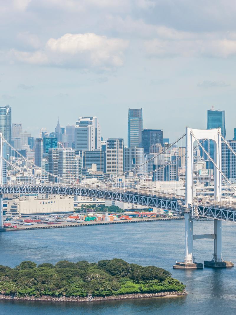 a view of the Tokyo skyline and the city's Rainbow Bridge