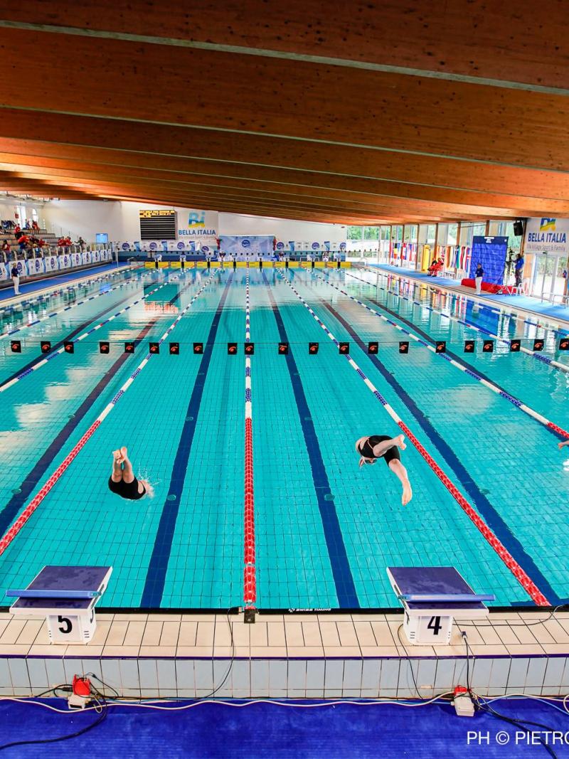Four swimmer diving into the water to start the race