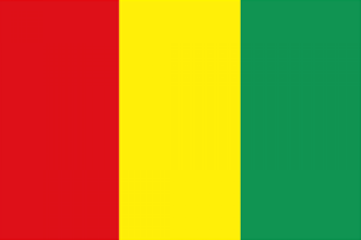 Guinea Flag