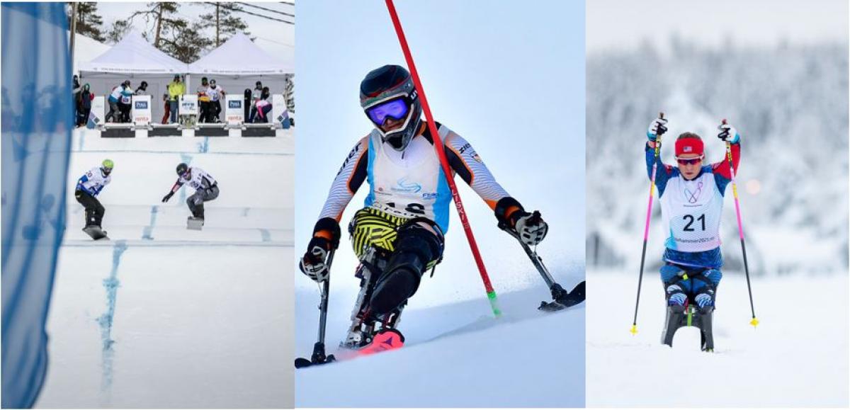 A photo collage with two snowboarders, an alpine sit-skier and a cross-country sit-skier