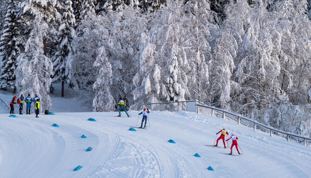 Two cross-country skiers following their guides in a circuit full of snow watched by five people