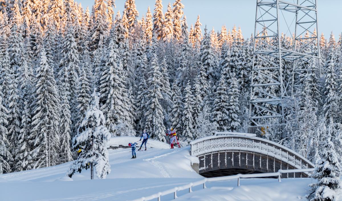 A group of cross-country skiers competing in the snow