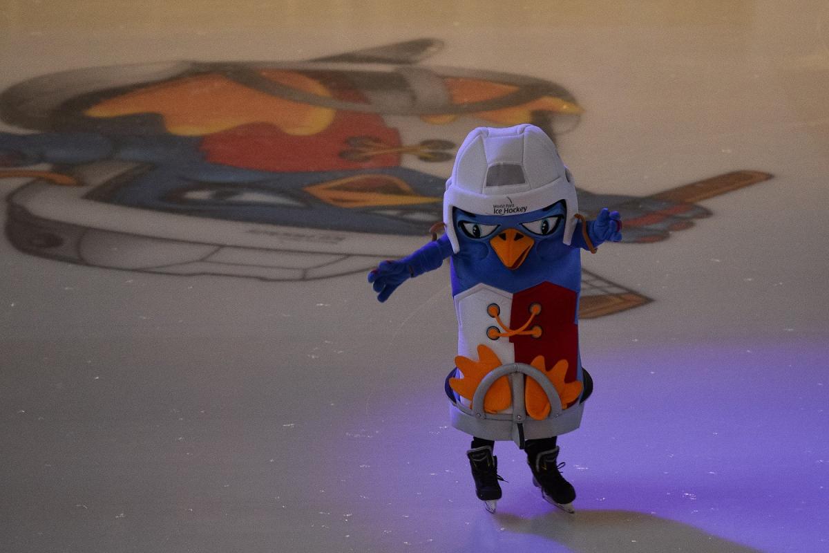 A penguin mascot on the ice during the Ostrava 2019 World Para Ice Hockey Championships