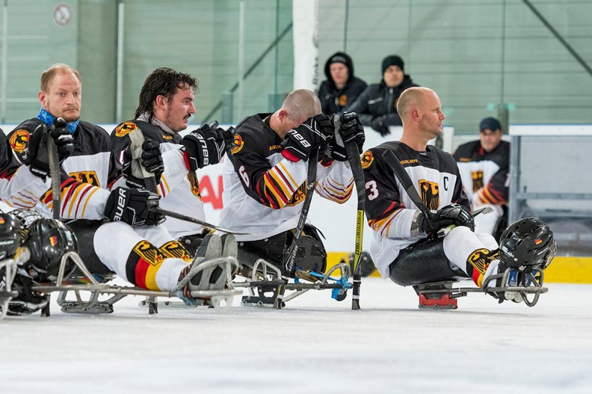 Para ice hockey players gazing in a row one after another