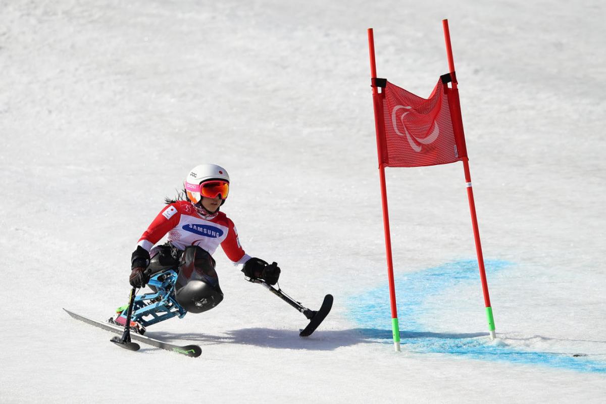 A female sit-skier crossing a flag in a giant slalom competition