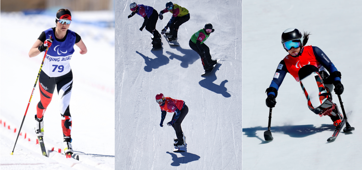 A photo collage with a female cross-country skier, four male snowboarders and a female sit-skier