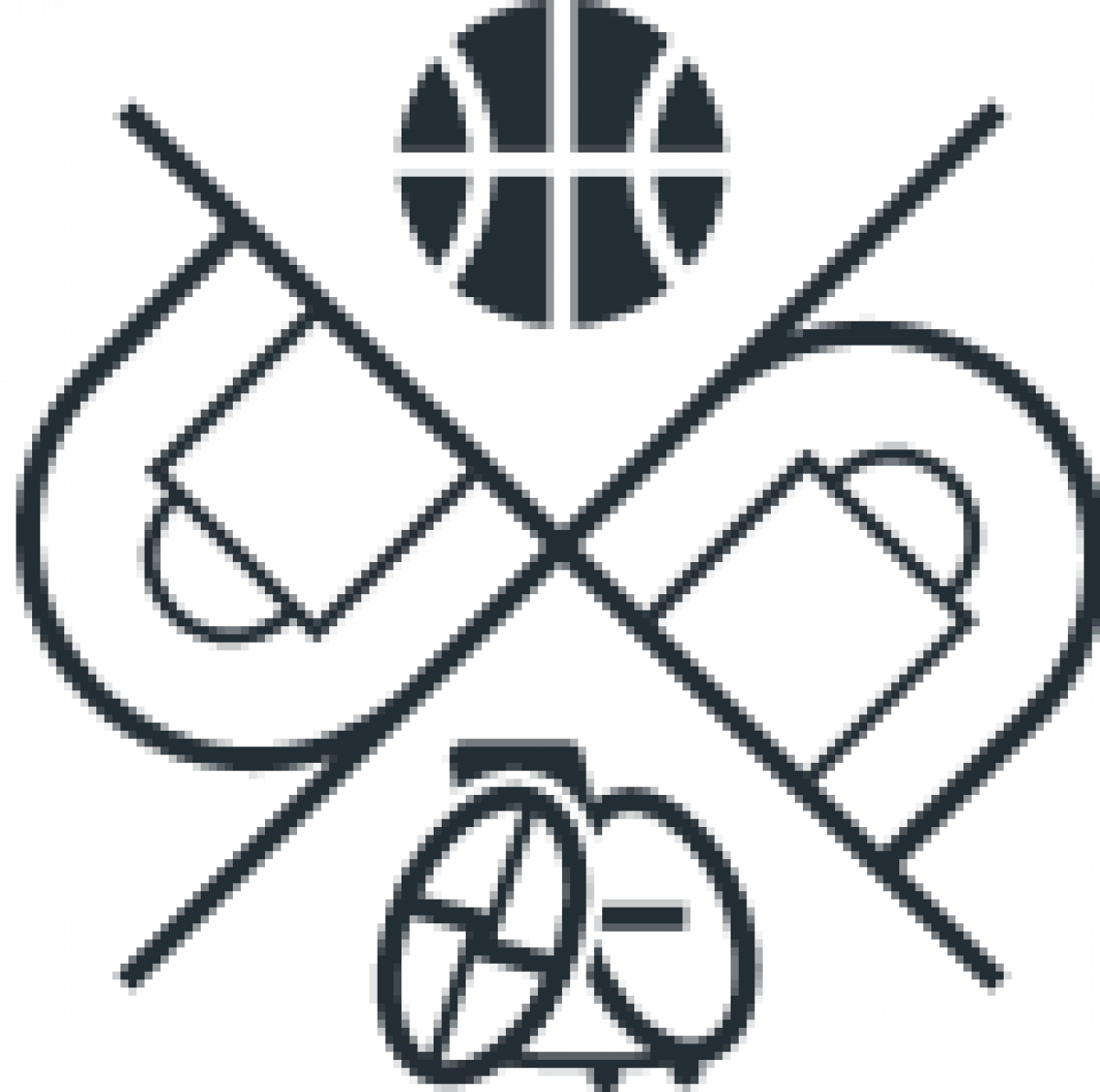 Wheelchair Basketball