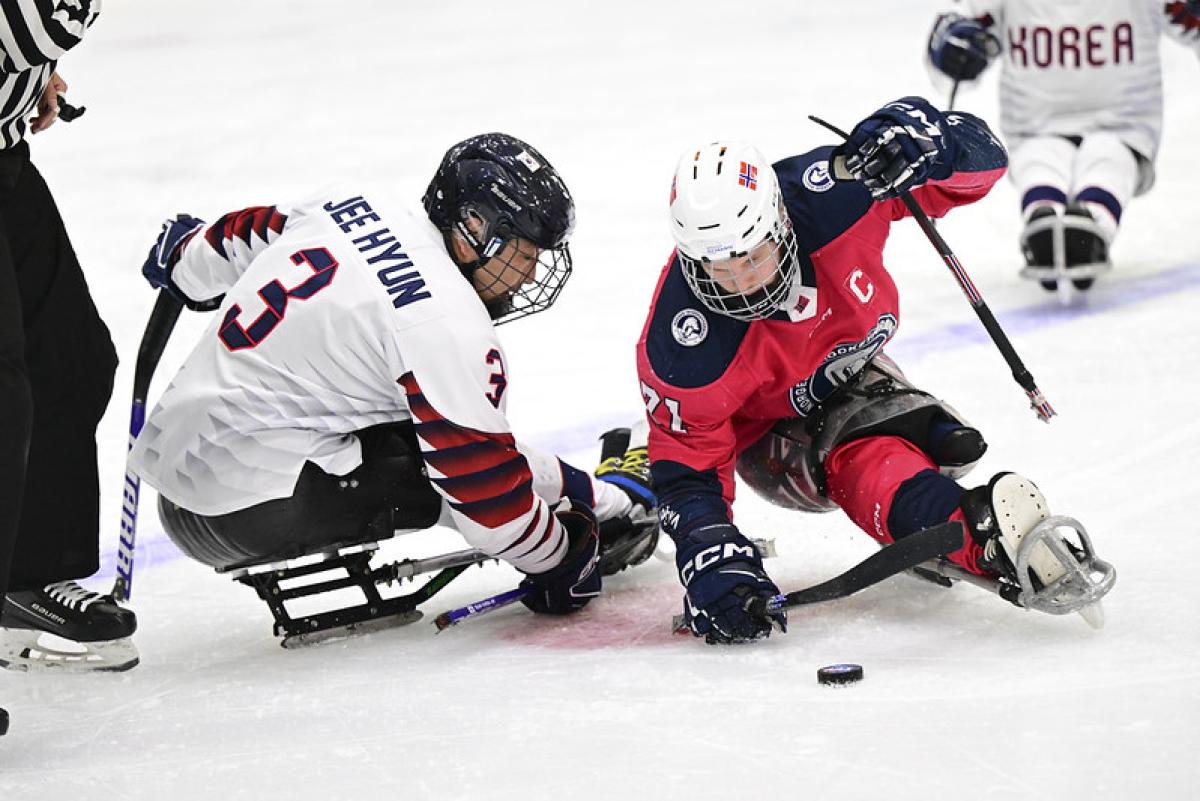 A Norwegian and a Korean Para ice hockey player going for the puck