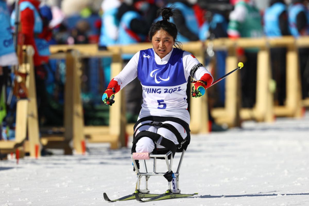 A female sit-skier is competing in a cross-country race