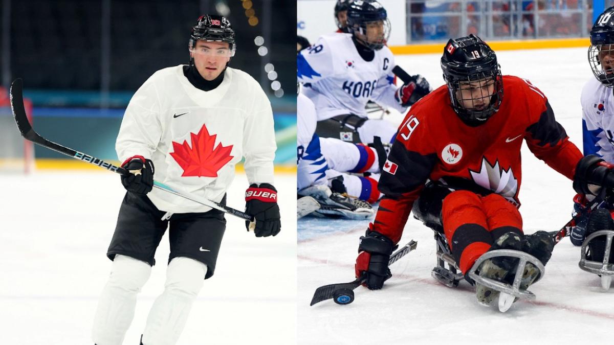 Canada players comparison