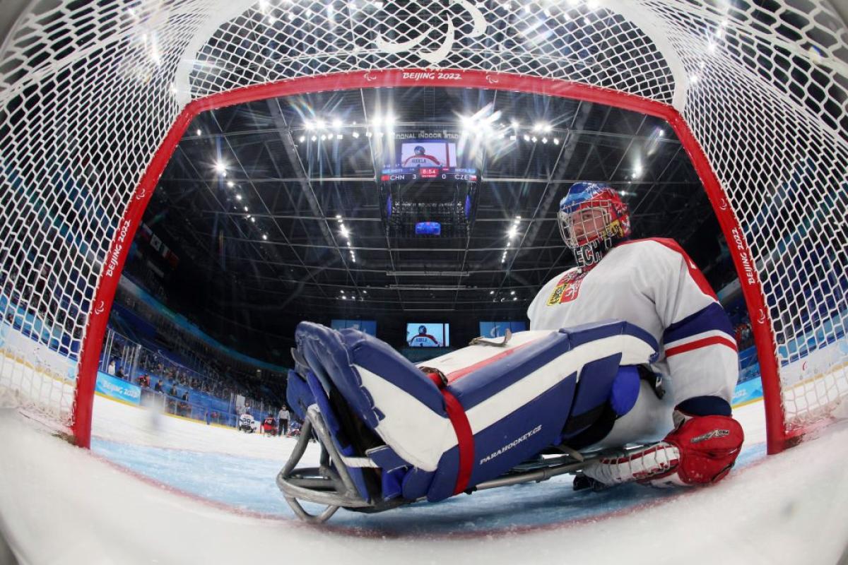 A Czech goaltender in a Para ice hockey game