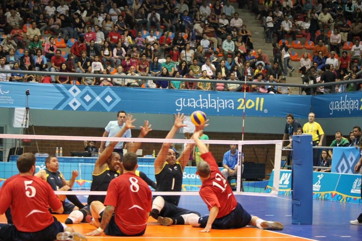 USA Sitting Volleyball Men's Team