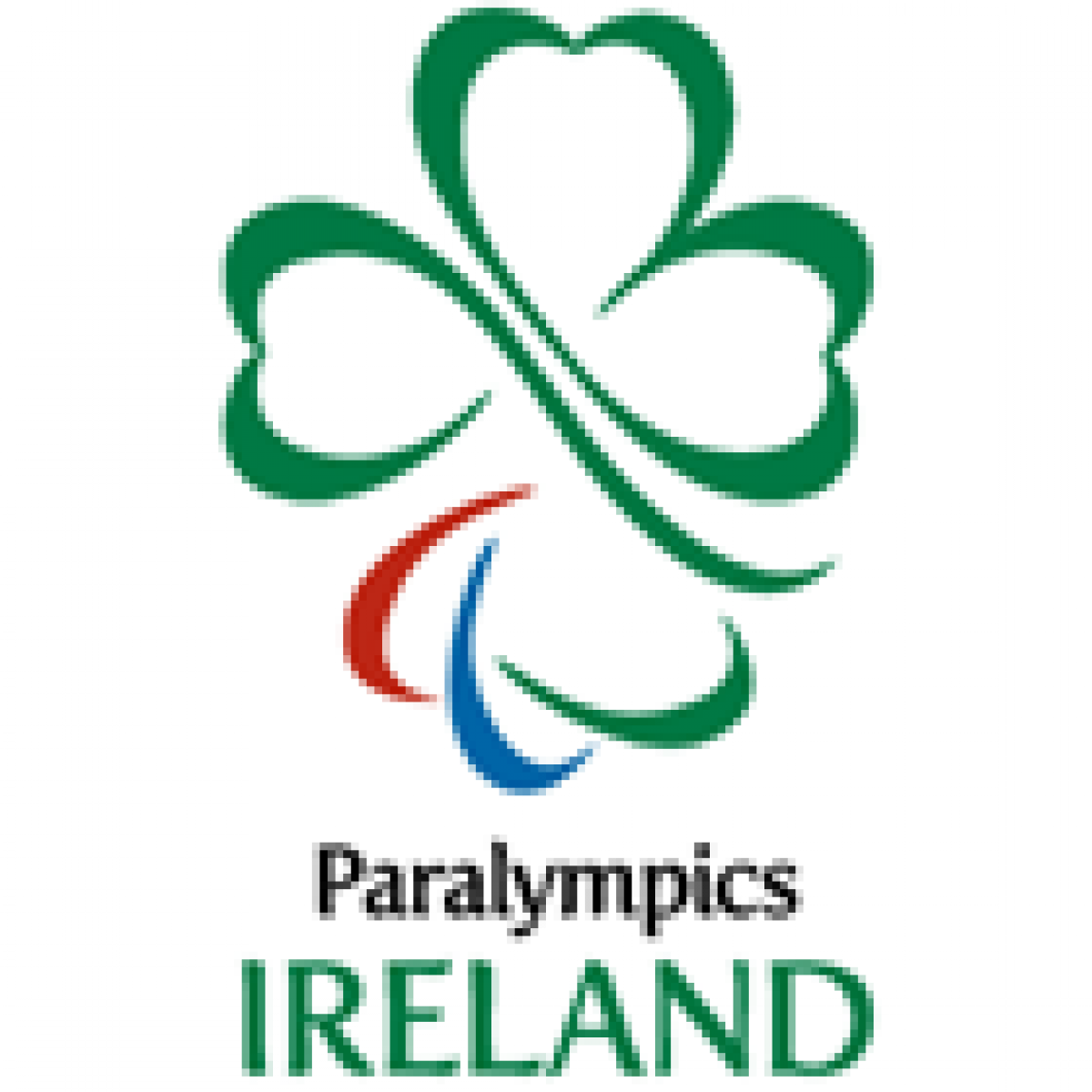 Paralympics Ireland Logo Paralympics Ireland