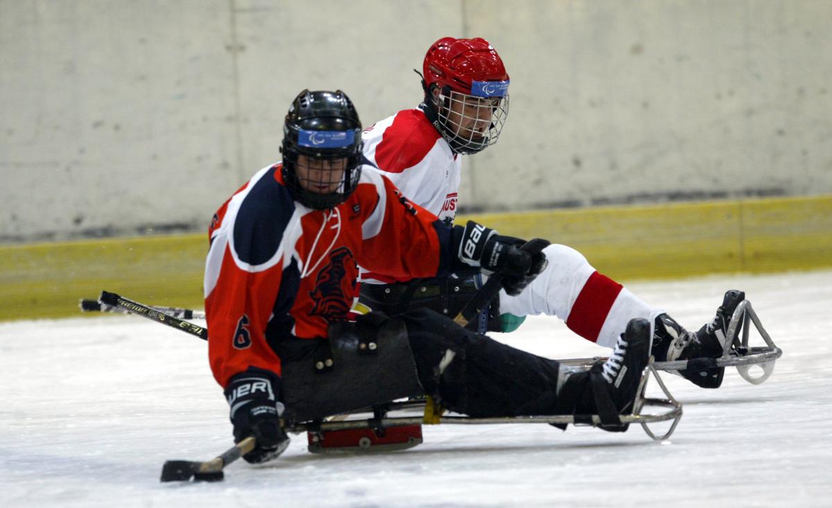 Netherlands ice sledge hockey