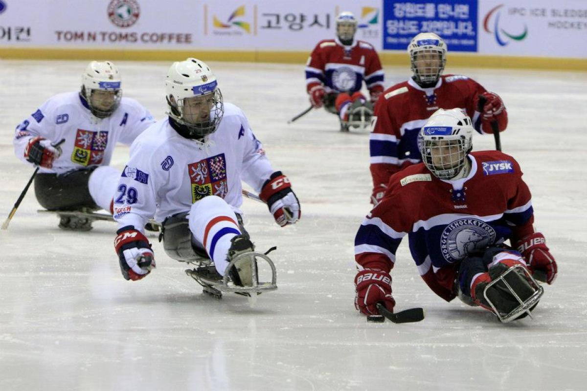 Norway's ice sledge hockey team