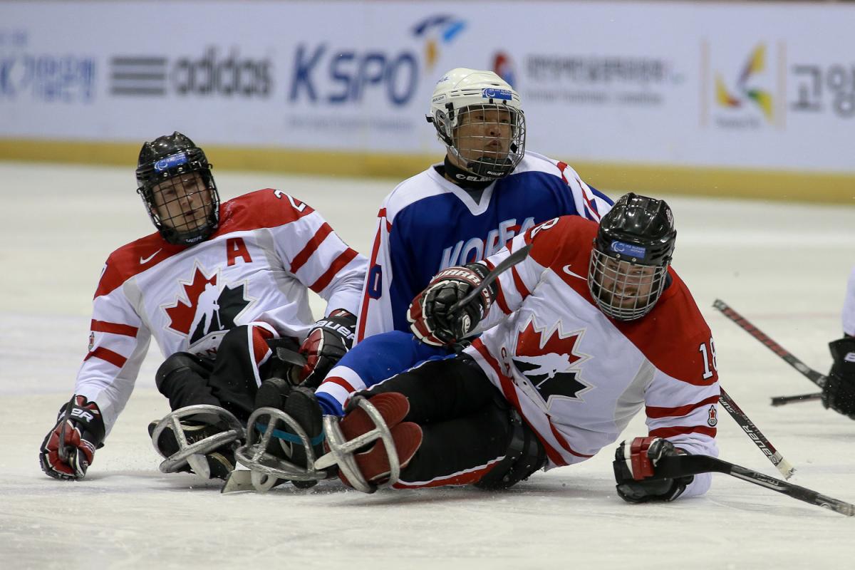 Canada and South Korea's ice sledge hockey's teams