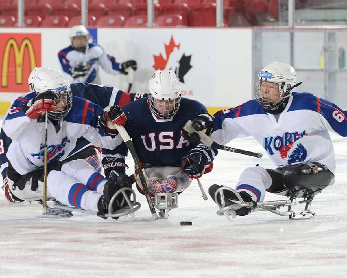 USA and South Korea's ice sledge hockey teams
