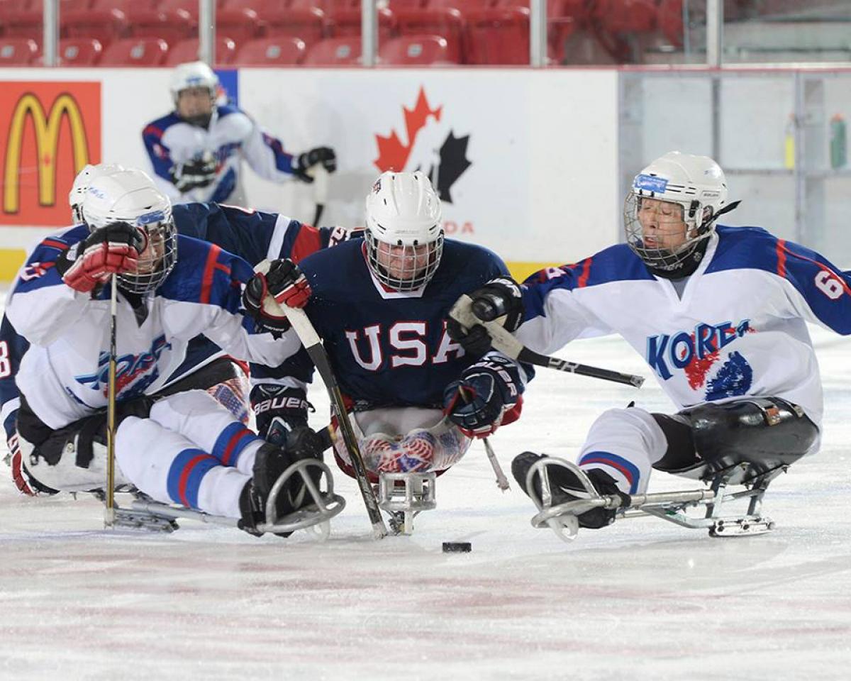 USA and South Korea's ice sledge hockey teams USA and South Korea's ice sledge hockey teams