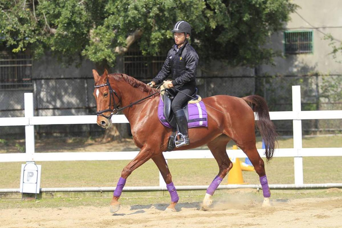 A para-equestrian rider is pictured galloping on his horse.