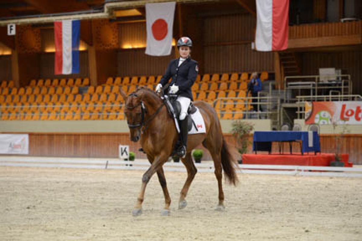 An equestrian rider rides her horse in an empty arena. 