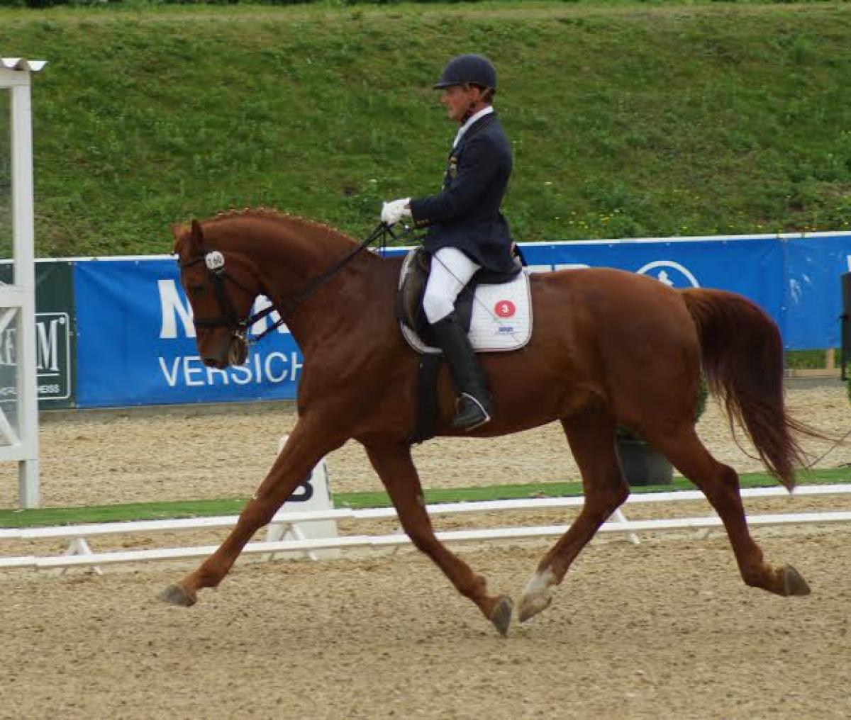 Hannelore Brenner A para-equestrian rider gallops on a horse.